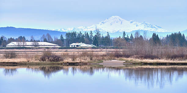 This is a photo of a winter view of Mount Baker in USA.