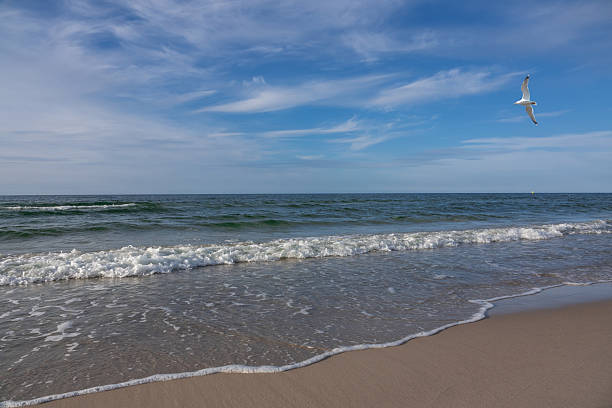 Baltic Sea coast. Leba, Poland