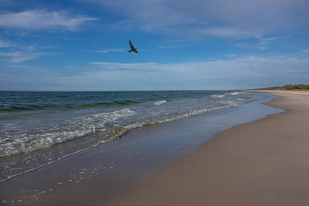 Baltic Sea coast. Leba, Poland