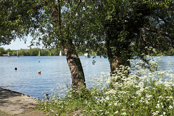 Rickmansworth Aquadrome is a beautiful open space, has open grassland, areas of woodland with trees such as oaks and willows, accessible pathways as well as an exciting play area and welcoming café serving freshly prepared meals and hot drinks.
