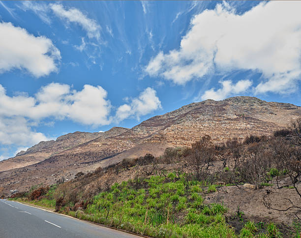 A sweeping landscape showing a rugged mountain range under a bright blue sky with scattered clouds. A two-lane road runs along the base, while charred brush and fresh green growth cover the hillside, capturing a contrast between arid terrain and new life in Western Cape nature.