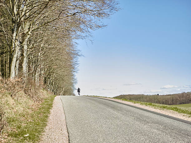 A solitary cyclist pedals along a winding country road, bordered by tall, bare trees on the left and open fields on the right. The scene captures calm rural life, expansive blue sky, and a sense of motion and freedom in the open landscape.