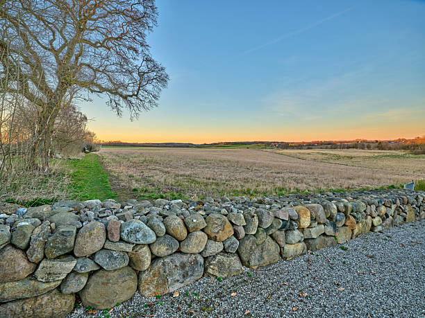 Golden hour lights the Danish countryside, revealing a long dry field bordered by a rustic fieldstone wall. Leafless trees frame the horizon while the tranquil sky shifts from blue to warm orange, evoking peace, openness, and timeless rural beauty in Denmark.