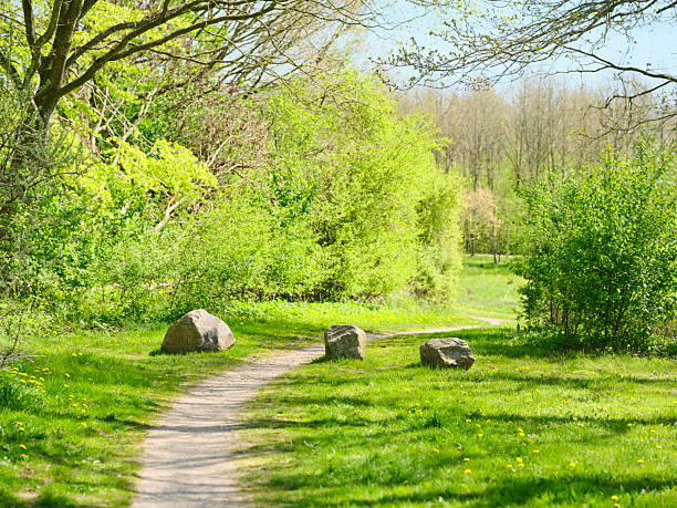 A bright spring park scene with a winding dirt path, vibrant green trees, and sunlit grass. Rocks rest along the trail, while dandelions bloom in a tranquil meadow. Ideal for nature, outdoor lifestyle, wellness, and travel stock photography in Denmark.
