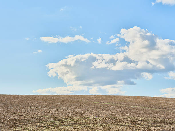 A vast, tilled field stretches to the horizon beneath a clear, blue sky dotted with fluffy white clouds. The scene conveys calm, openness, and rural simplicityâideal for stock imagery about farming, countryside life, seasons, and outdoor landscapes, with a subtle nod to Danish rural aesthetics.