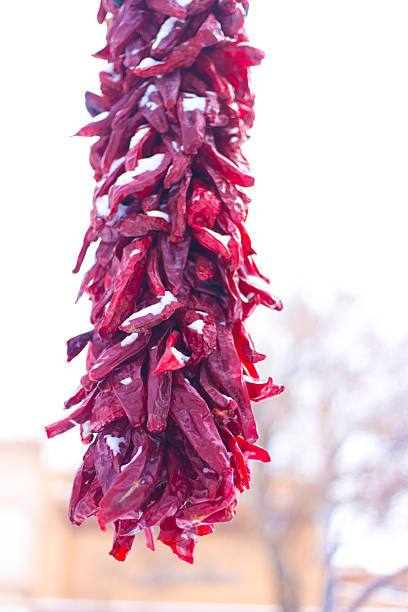 Santa Fe, NM: Chili Pepper Ristra in Snow