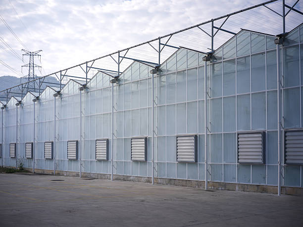 Modern Agricultural Glass Greenhouse Complex