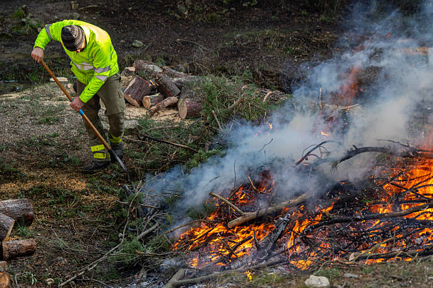 Forest service workers perform controlled burning to reduce fuel load and help prevent wildfires in a forested area near Madrid, Spain.