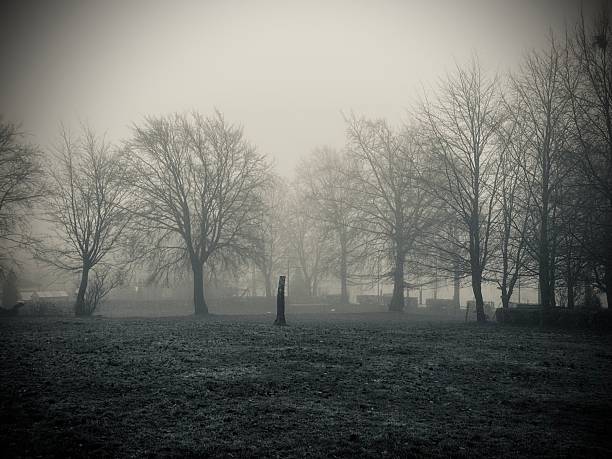 ein Tag im Nebel