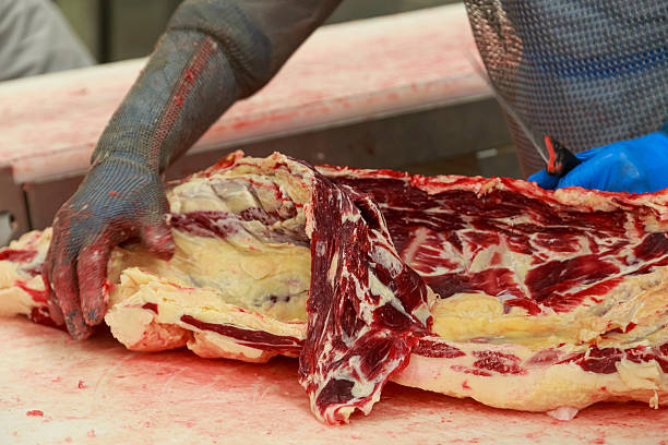 Worker with knife in deboning hall. Big meat plant with slaughterhouse and processing line.