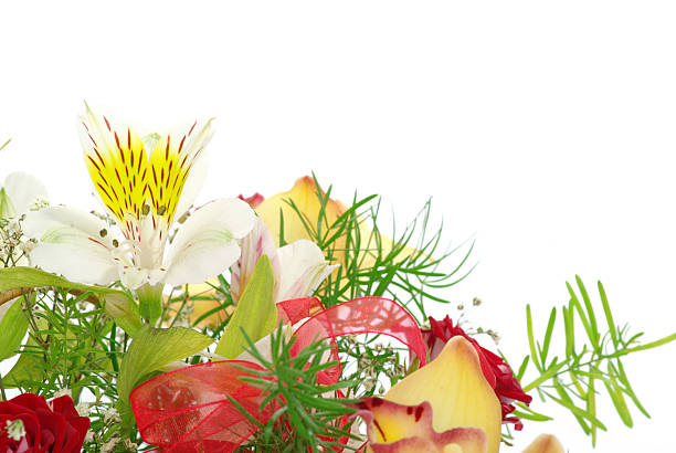 bouquet of flowers on white