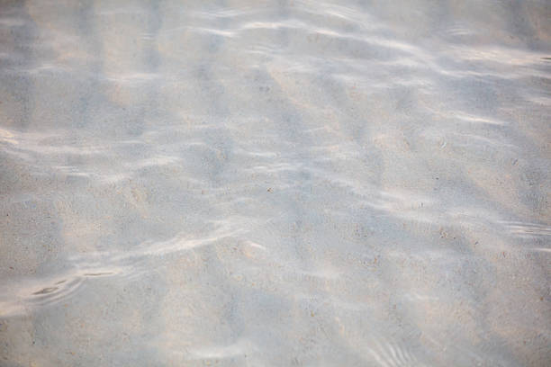 The sand is white and the water is clear. The sand is wet and the water is calm