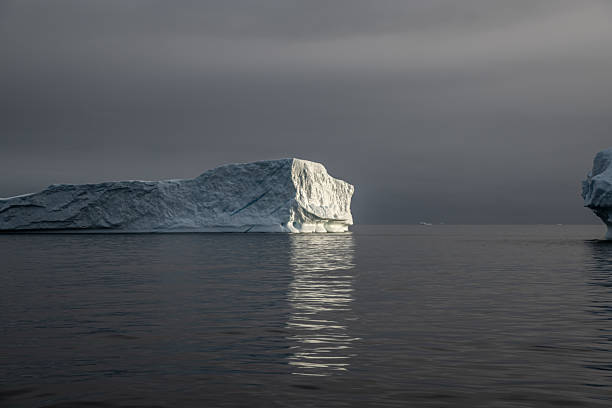 Massive white icebergs floating and reflecting on the calm, dark ocean water, with a moody grey sky emphasizing the grandeur of the Arctic environment and climate change concerns