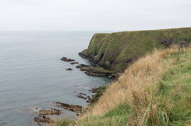 Cliffs in Old Hall Bay, Aberdeenshire, Scotland