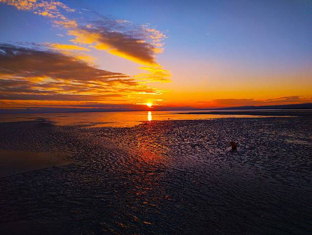 Beautiful tropical beach with a colorful sunset above the calm ocean. Golden light reflects on the waves, creating a peaceful and romantic atmosphere. Perfect nature scene symbolizing relaxation, summer travel, and exotic island paradise.
