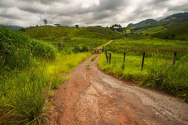 View: dirt road with many small stones, wooden gate, tall grass on one side and pasture with a small puddle on the other, green hills on one side and mountains, also green, on the other, trees, low clouds in the background.