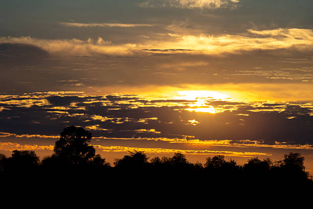 Golden sun sets dramatically behind dark silhouetted tree line, casting warm orange and yellow light across the horizon while creating striking contrast with the blackened forest edge in Mazères, France. The brilliant solar disk hangs low in the sky, its intense glow diffused slightly by atmospheric conditions as it descends behind the natural landscape. The composition captures the peaceful transition from day to night, with the luminous sky gradient and sharp tree silhouettes creating a classic sunset scene of natural beauty and tranquil evening atmosphere.