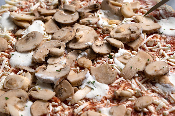 closeup mushroom pizza with toppings, sliced mushrooms and melted mozzarella over textured sauce, herb garnish and rustic crust, shallow depth of field,