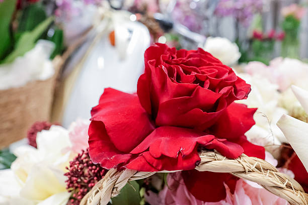 Romantic floral composition featuring red roses, white ranunculus, pink tulips, and carnations in elegant display for special occasions and celebrations.