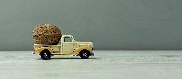 Old yellow car carrying a large walnut on a gray background