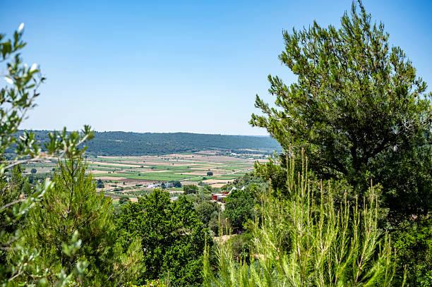 View over a beautiful, agricultural landscape in Apulia in summer.