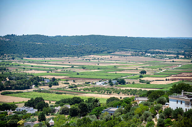 View over a beautiful, agricultural landscape in Apulia in summer.