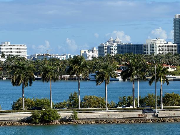 istock Miami skyline with palm trees along E Port Boulevard 2258861687
