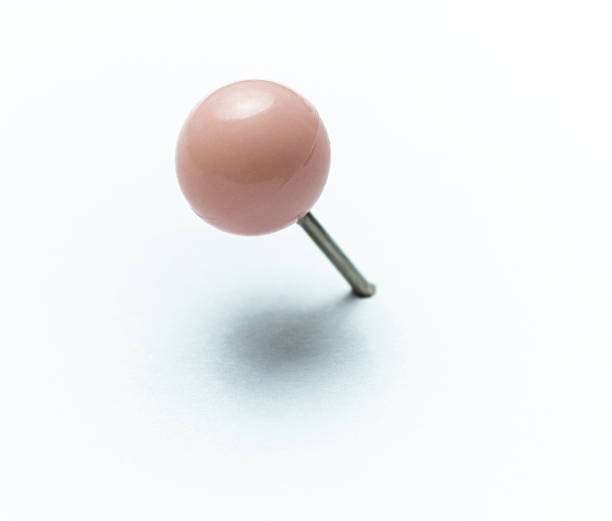 Round pink thumbtack with shadow on white background