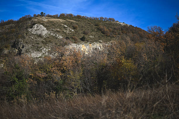Natural autumn landscape presenting a hill, tree line with fall colors, rock formations, and blue sky