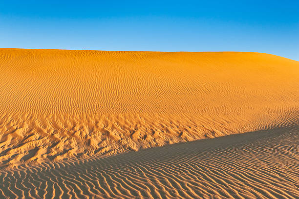 A minimalist desert scene showing a large, sunlit sand dune with fine rippled textures and soft shadowing under a clear blue sky. The warm golden tones highlight wind-formed patterns across the slope, creating a sense of scale, calm, and open space.