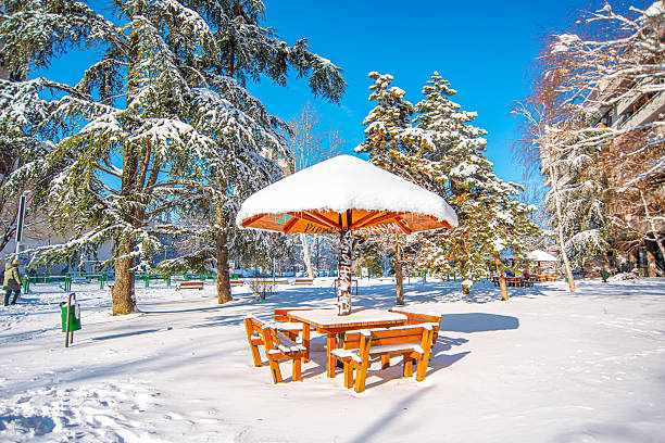 Snow-covered wooden table and benches under a parasol in a city park, evergreen trees laden with snow, clear blue sky on a bright winter day and soft sun