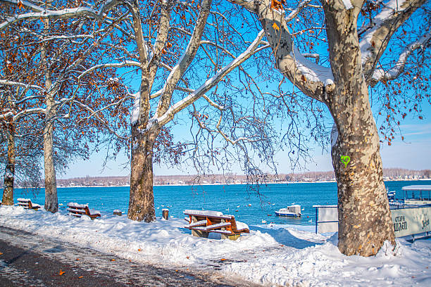 Snow-covered benches and large leafless plane trees along a riverside path, blue river with small boats, scattered birds on water, and bright clear blue winter sky in sunlight.