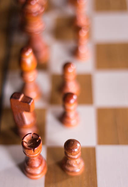 Brown Chess Pieces on Brown and White Chess Board Close-Up
