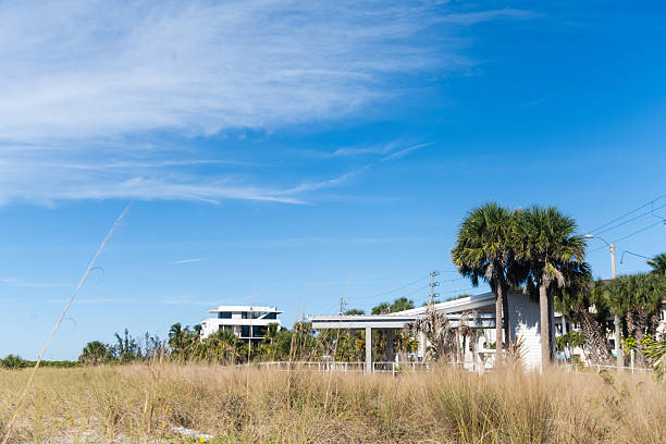This is a photograph of a grass covered sand dune on Siesta Key beach in Sarasota, Florida on a sunny winter day.