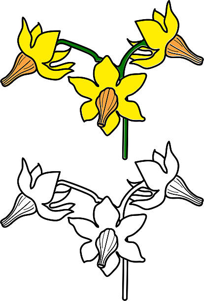 5,000+ Tomato Flower Illustrations - iStock