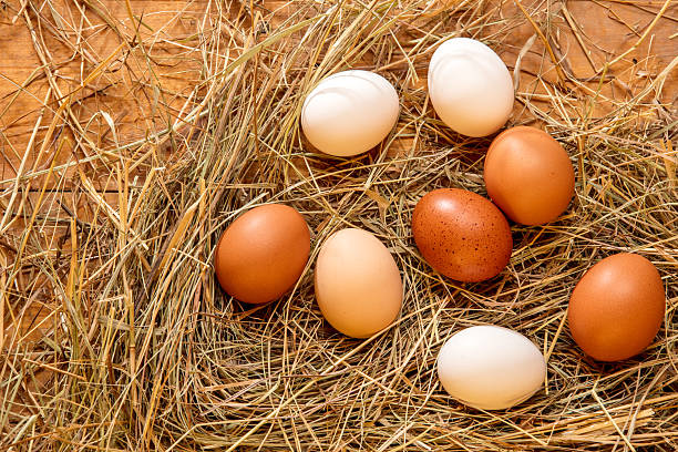 Fresh chicken eggs in the hay nest on a rustic wooden background.