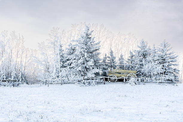 Vintage abandoned cart in a winter landscape