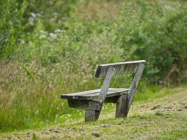 A weathered wooden bench sits on a grassy path in a tranquil Danish meadow. Surrounded by tall grasses and subtle wildflowers, the scene evokes calm, solitude, and a rustic connection with nature. Perfect for themes of relaxation, outdoor life, and Nordic scenery.