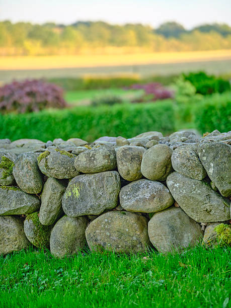 A rustic stone wall built from smooth, rounded rocks sits at the forefront of a vibrant lawn. Moss clings to the stones while a manicured hedge and distant fields create a peaceful, countryside atmosphere in Denmark. Ideal for nature, landscape, and garden-themed stock uses.