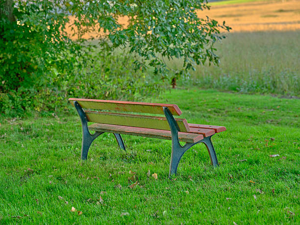 A wooden park bench with metal supports sits on vibrant green grass under a leafy tree, with a soft golden field in the background. The image evokes calm, relaxation, and outdoor leisure in a Danish park setting, perfect for nature, wellness, and community lifestyle themes.