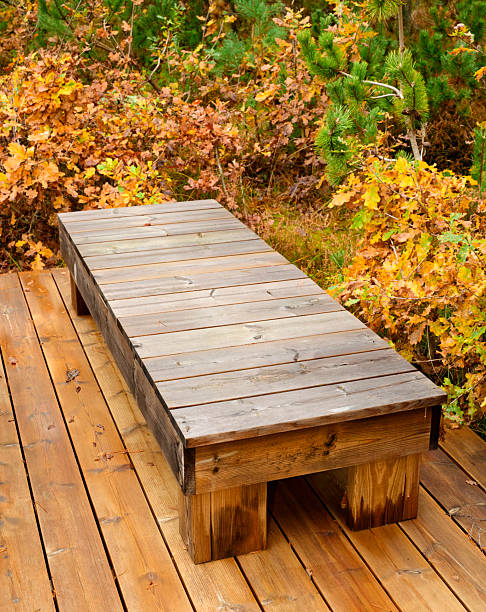 A weathered wooden bench sits on a warm-toned deck, framed by vibrant autumn leaves and evergreen sprigs. The scene evokes calm, outdoor serenity and rustic charm, perfect for lifestyle, nature, or travel themes set in Denmark during fall.
