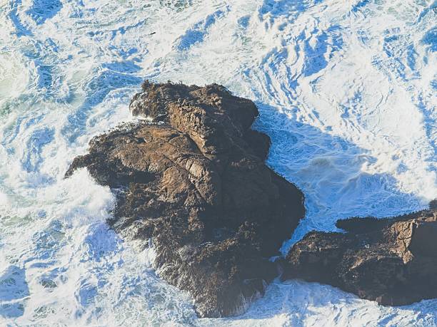 Waves on the rocky shore at Point Reyes national seashore. The majestic coastline of Point Reyes near the lighthouse.