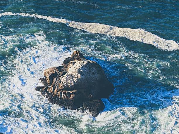 Waves on the rocky shore at Point Reyes national seashore. The majestic coastline of Point Reyes near the lighthouse.