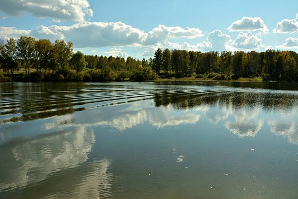Ripples on the surface of a beautiful wide lake surrounded by dense forest and reflecting clouds on a sunny summer day. Lake Malinovskoye, Siberia, Russia.