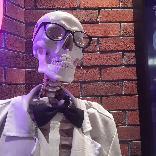 A human skeleton figure dressed with glasses bowtie and coat displayed against a brick wall