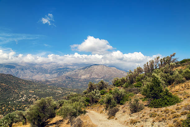 Expansive view over olive plantations and cultivated fields in rural Crete, surrounded by hills and distant mountains, showing the traditional agricultural landscape of the Mediterranean
