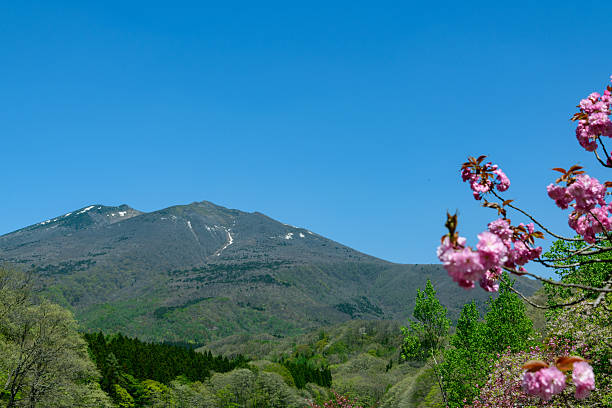 Lake Choro in Zao: Cherry blossoms, fresh greenery and remaining snow