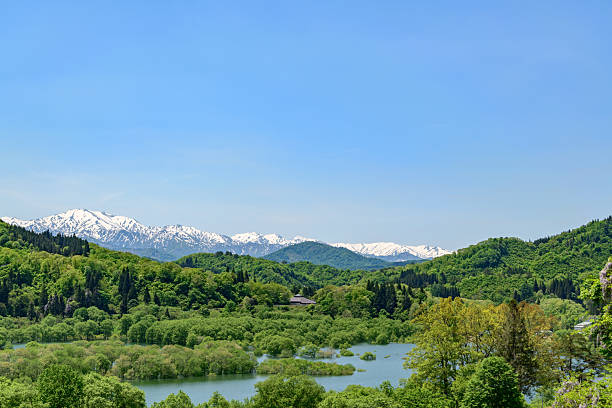 Lake Shirakawa: Blue sky, remaining snow and fresh green submerged forest
