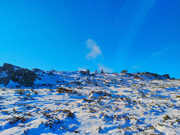 Wide winter panorama of a snow-covered mountain plateau with rocks and distant valley view under a clear blue sky. Photographed on Vitosha Mountain near Sofia, Bulgaria, on the hiking route from Aleko toward Cherni Vrah.