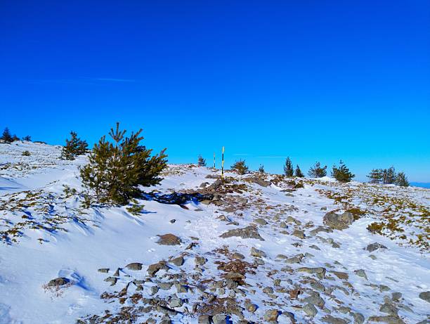 Wide winter panorama from Vitosha Mountain near Sofia, Bulgaria. Snow-covered alpine plateau with rocks and distant city view under clear blue sky on the trail from Aleko to Cherni Vrah.